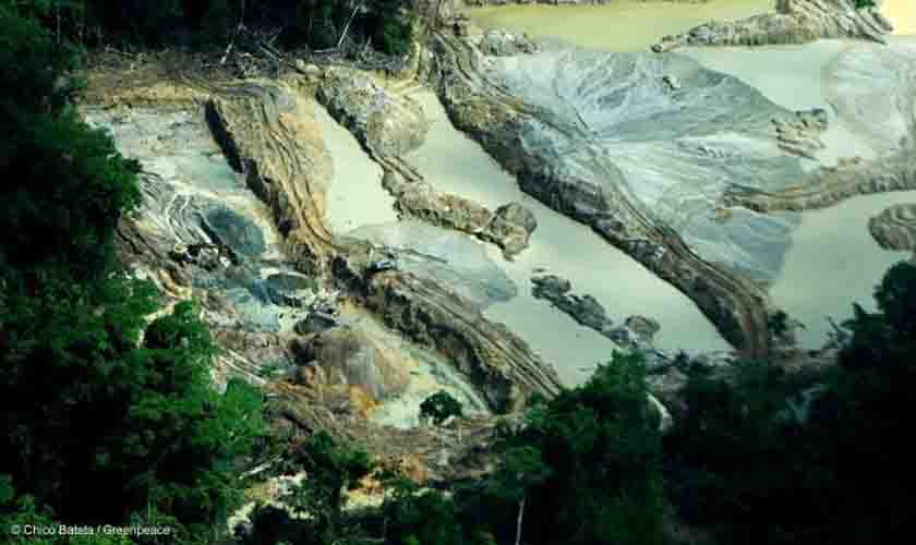 Amazônia vive epidemia de garimpo ilegal, afirma Greenpeace