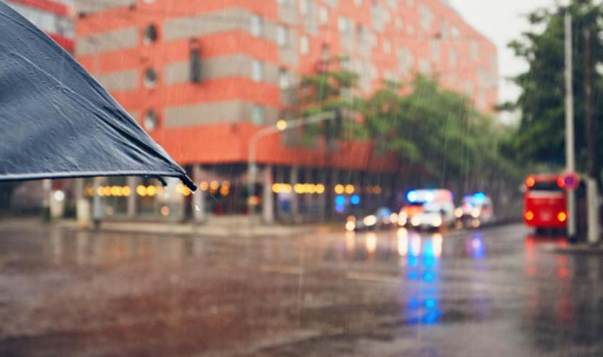 Período chuvoso aumenta população de pragas urbanas 