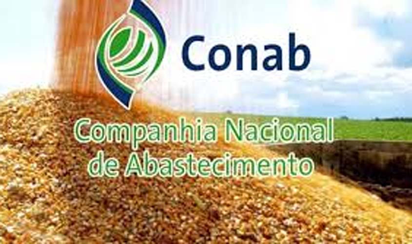Conab vende mais de 1,5 mil toneladas de milho no Vendas em Balcão