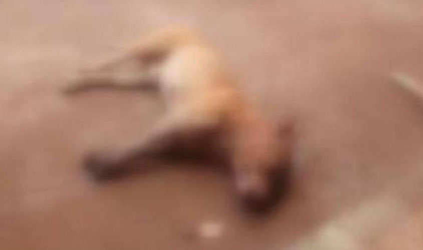 'Preto correndo é suspeito, em pé é um toco e sentado é um monte de merda', teria dito vizinho ao outro