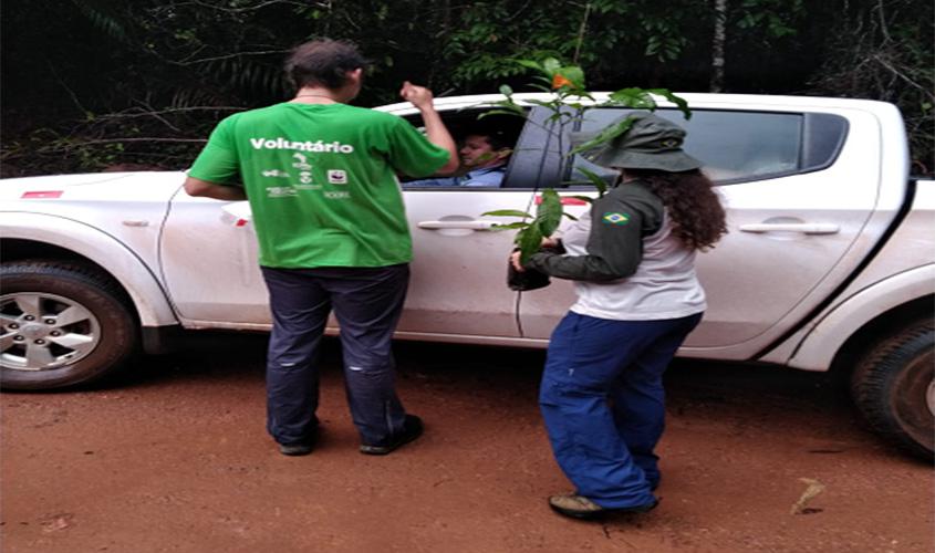 Flona de Sacará-Taquera completa 30 anos de criação