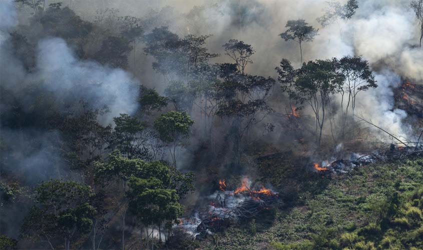 Soluções para acabar com o desmatamento na Amazônia são tema do quinto ciclo do Amazoniar