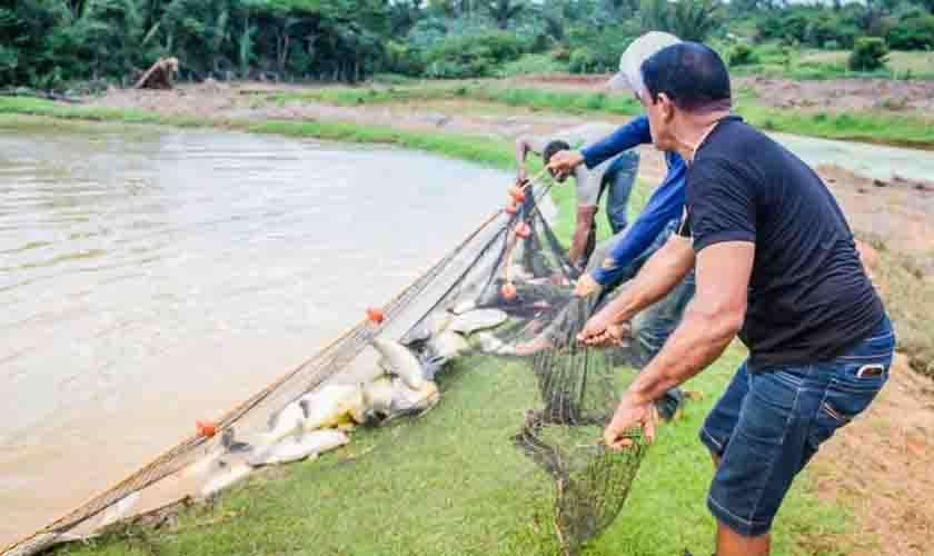 Período do defeso de Tambaqui e Pirarucu é prorrogado em Rondônia