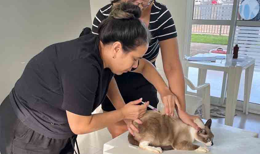 Mais de 600 animais são vacinados contra a raiva em ação itinerante da Prefeitura de Porto Velho