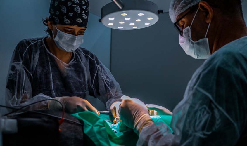 Moradores de baixa renda e ONGs de proteção animal em Porto Velho podem ter acesso a castração grátis