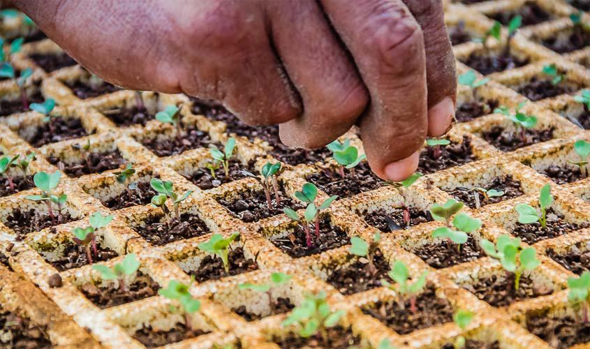 Mais de 120 mil propriedades rurais já foram inseridas no Cadastro Ambiental Rural em Rondônia