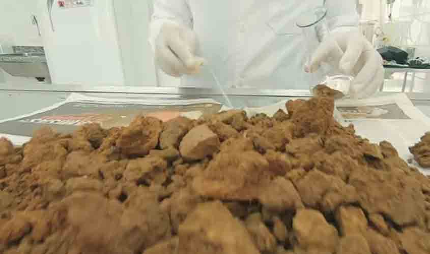 Parcerias fortalecem cafeicultura rondoniense; Cacoal conta com laboratório de análises de solo e metais pesados