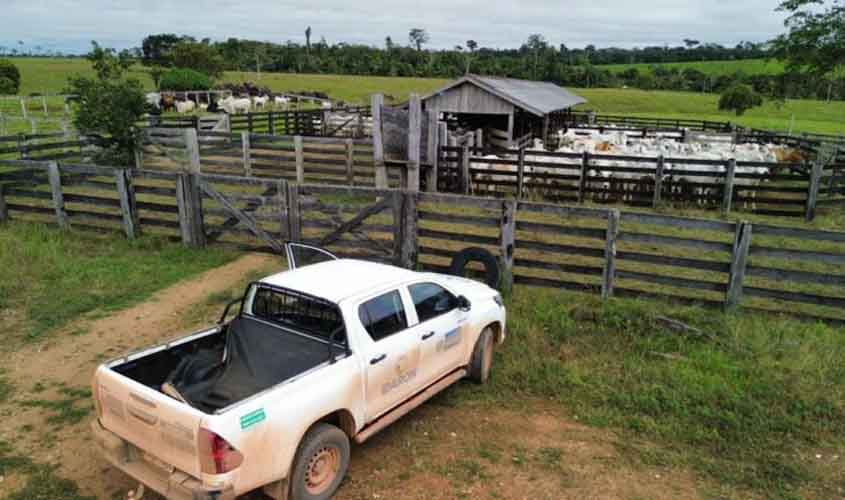 Ações para prevenir casos de raiva animal são intensificadas