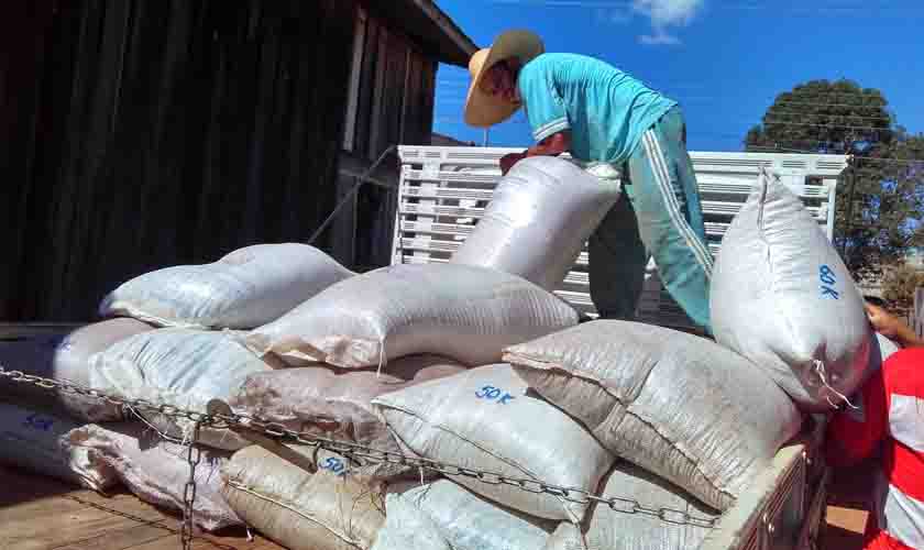 Rondônia deve produzir 4,4 mil toneladas de feijão na safra 2020/2021; área plantada é de 3,9 mil hectares