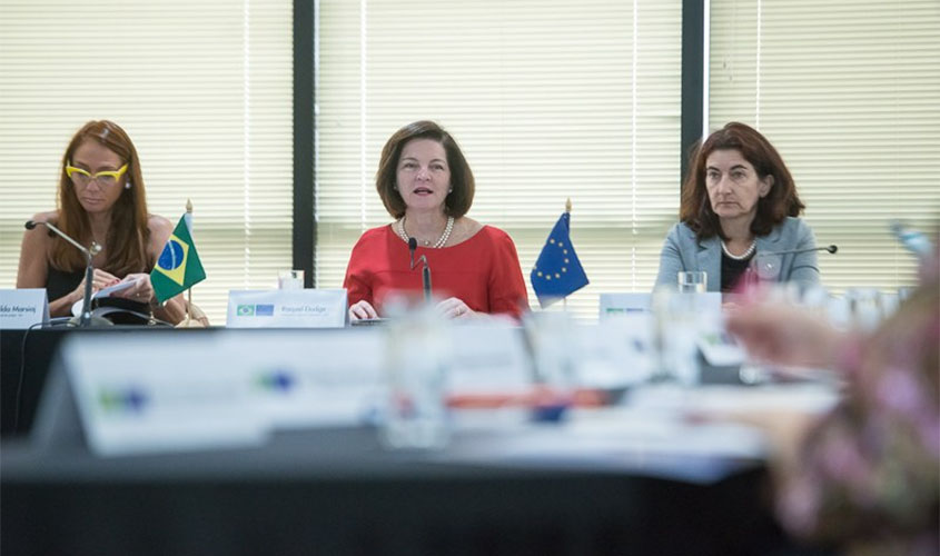 Crime organizado é responsável pelo desmatamento da Floresta Amazônica, afirma Raquel Dodge