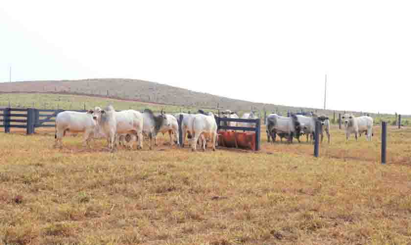 Prazo para entrega da declaração do Imposto sobre a Propriedade Rural se encerra em 30 de setembro