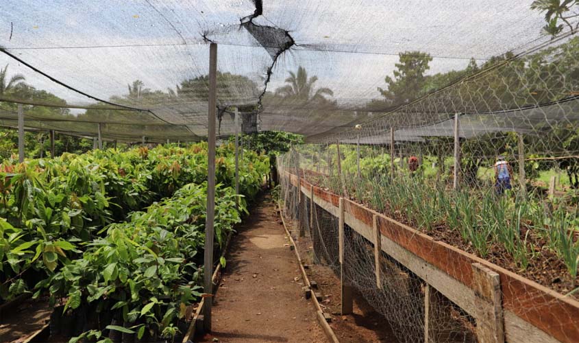 Reintegração social: Pena Justa é ampliado com visita técnica