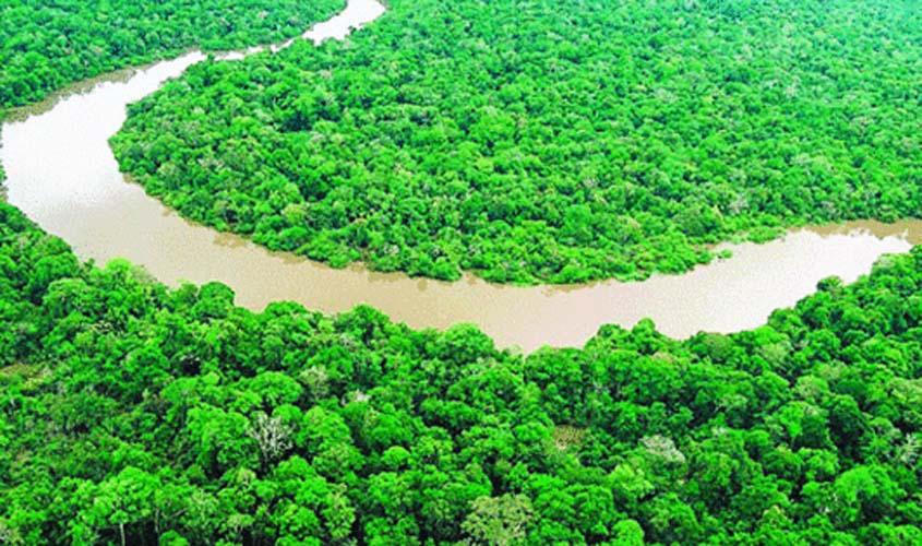 Fórum discute desenvolvimento sustentável da Amazônia