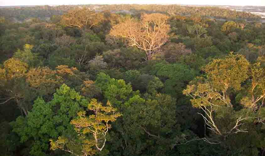 Ideia legislativa propõe bomba atômica brasileira  