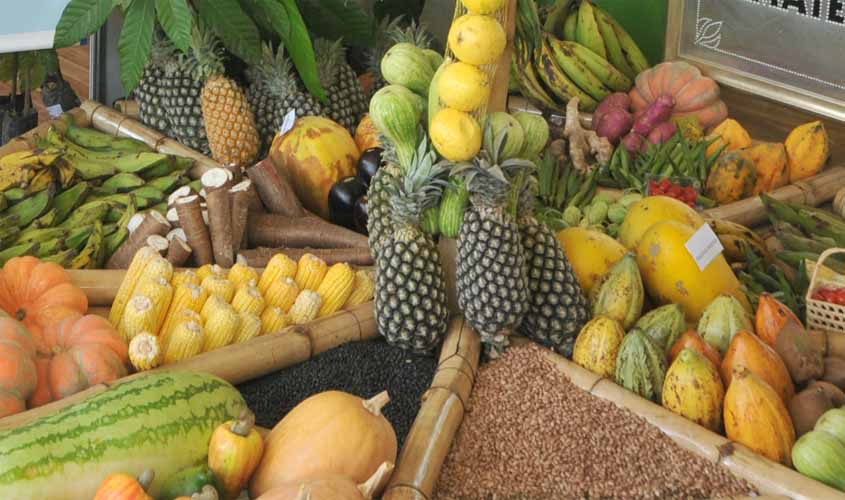 Produtor rural pode se cadastrar para vender alimentos à merenda escolar