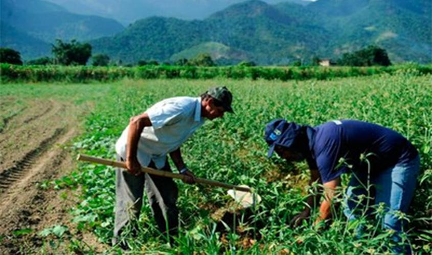Nova MP da regularização fundiária estimula grilagem de terras e ampliará conflitos no campo, alerta PFDC