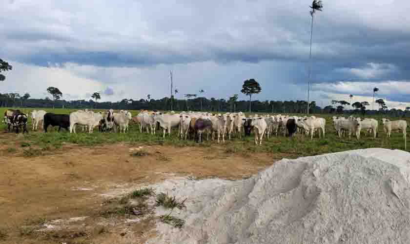 Banco da Amazônia destina mais de R$ 8,20 bi para crédito rural em 2021