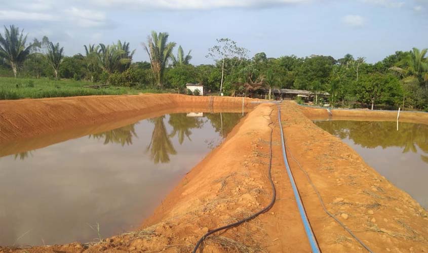 Parceria com Unir fortalece piscicultura sustentável