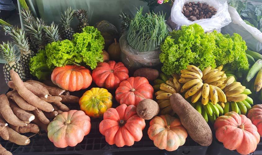Edital do Programa de Aquisição de Alimentos prevê investimentos para Agricultura Familiar, em Rondônia