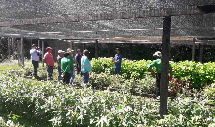 Servidores fazem capacitação em produção de mudas nativas