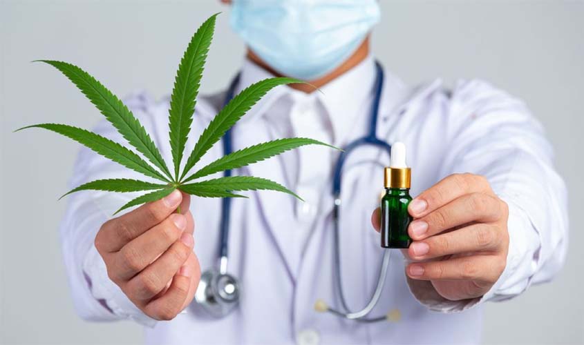 Avanço: cannabis auxilia pacientes com epilepsia