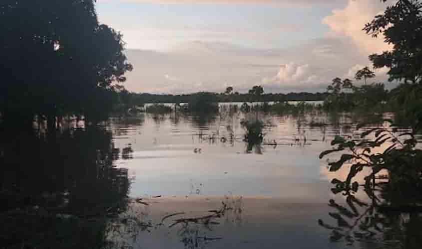 'Porto-velhenses fazem mobilização pelos atingidos pela cheia do Madeira'