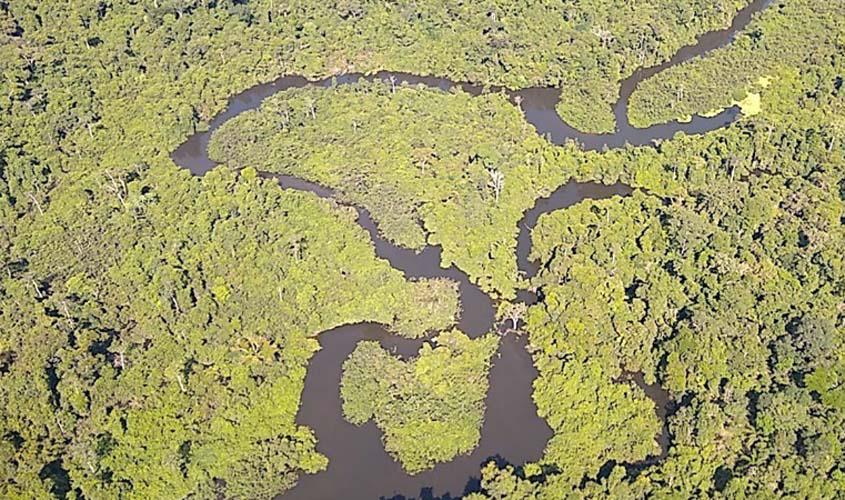 Justiça acolhe Ação Civil Pública do MPRO que propôs dissolução de Associação envolvida na invasão do Parque Estadual de Guajará-Mirim