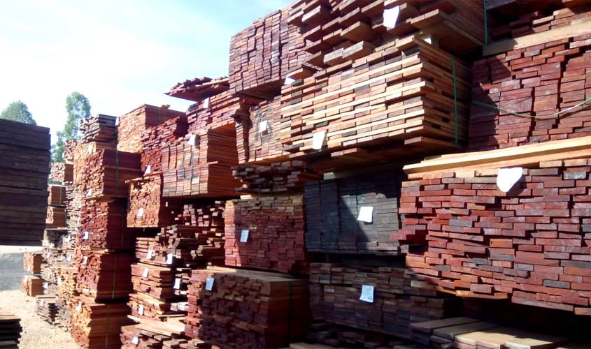  Ibama realiza maior apreensão de madeira nativa da Amazônia em SP