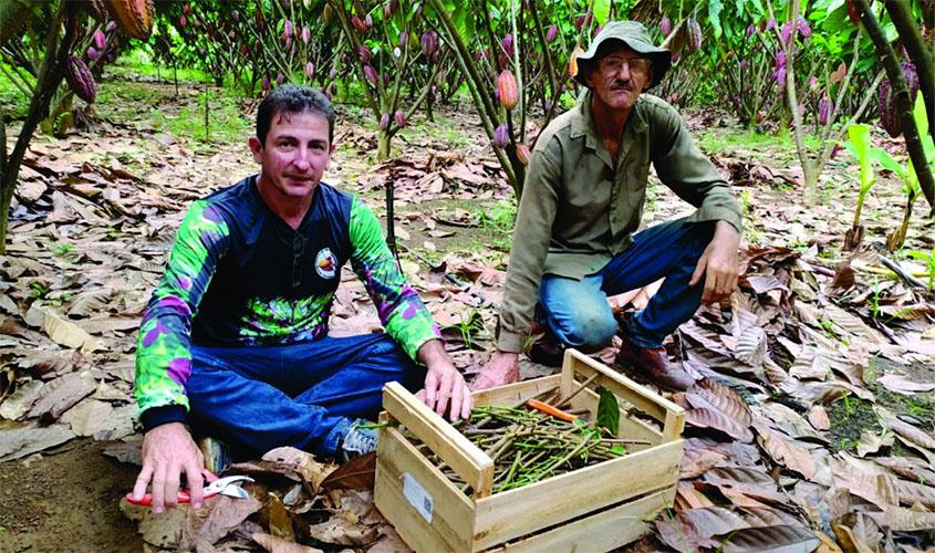 Experiências de agricultores de Rondônia serão aplicadas por meio de projeto em intercâmbio entre Brasil e Colômbia