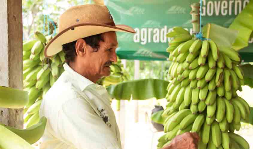 Inscrições para curso de habilitação para emissão de certificados fitossanitários encerram na próxima terça-feira, 8