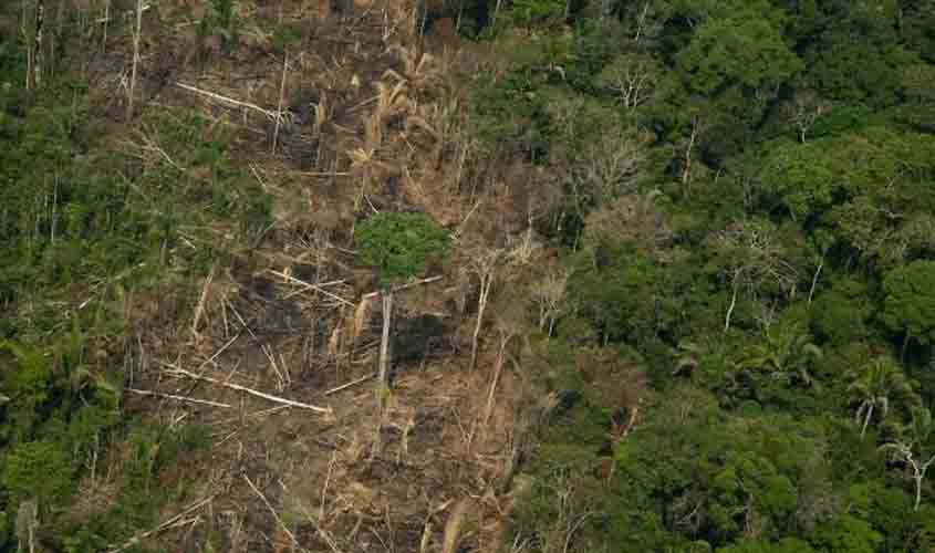 Dados do DETER apontam pior mês de maio da série histórica