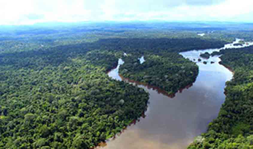 Dia Mundial do Meio Ambiente: STF analisa demandas ouvindo a sociedade à luz da Constituição