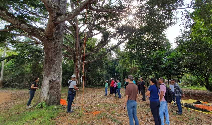 Embrapa capacita profissionais para restauração florestal em Rondônia