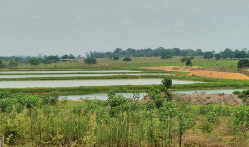 Pimenta Bueno agora conta com Sistema de Desenvolvimento Ambiental Municipal