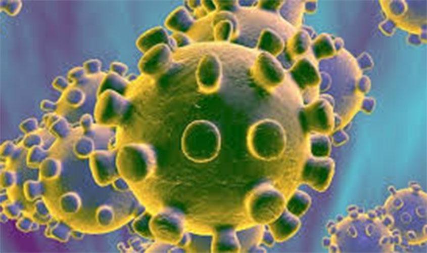 Covid-19: Rondônia com 22.957 casos de Coronavírus e 548 mortes; Porto Velho tem 13.847  infectados