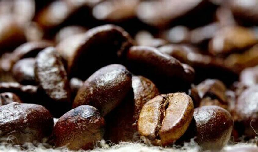 Preço do café arábica cai nesta segunda-feira (4)