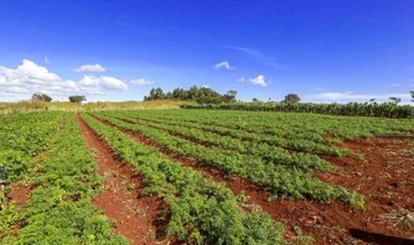 MPF assegura na Justiça moradia de famílias assentadas em área contestada por empresa em Porto Velho (RO)