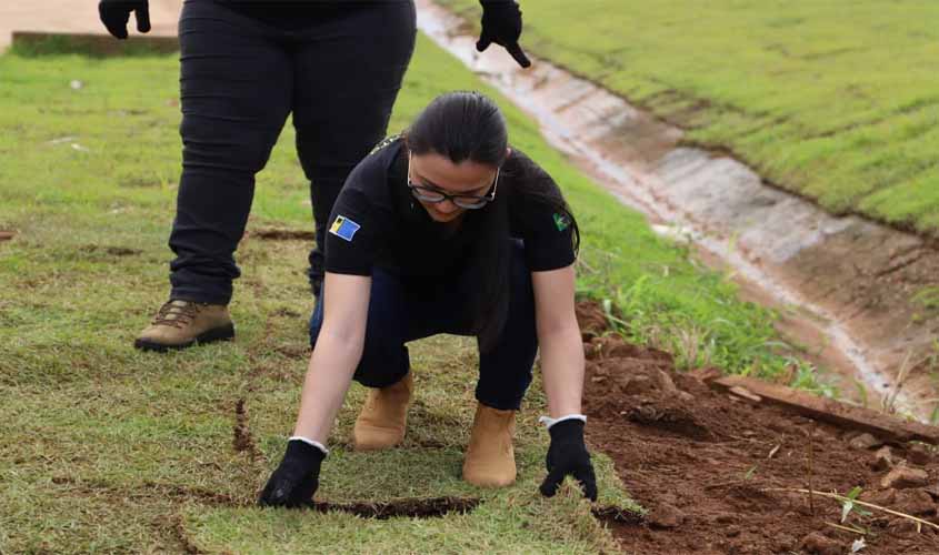 Servidores da Sema fazem mutirão e plantam grama no viaduto da avenida Jatuarana