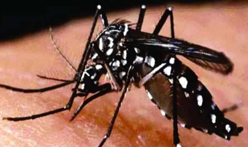 Prefeitura divulga primeiro levantamento sobre incidência do mosquito aedes aegypti