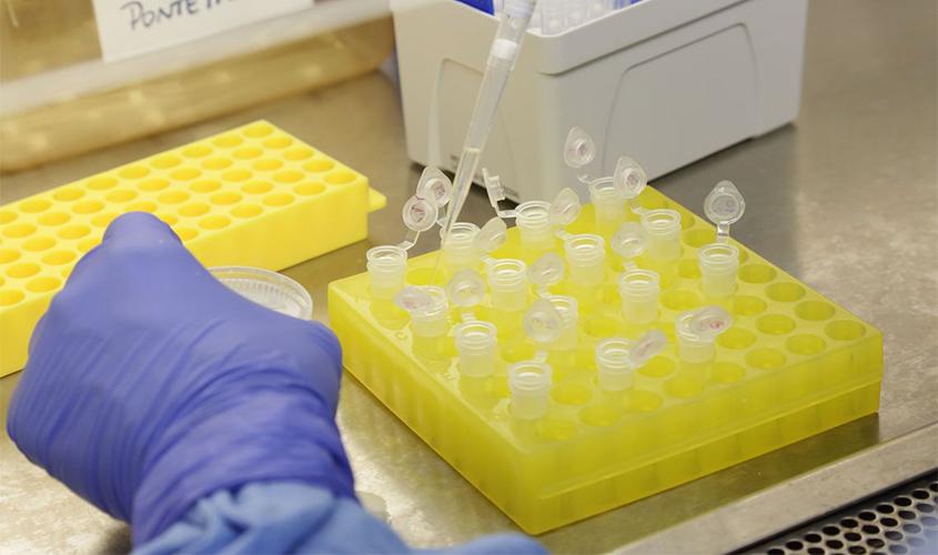 Brasil investiga 13 casos suspeitos de infecção por coronavírus