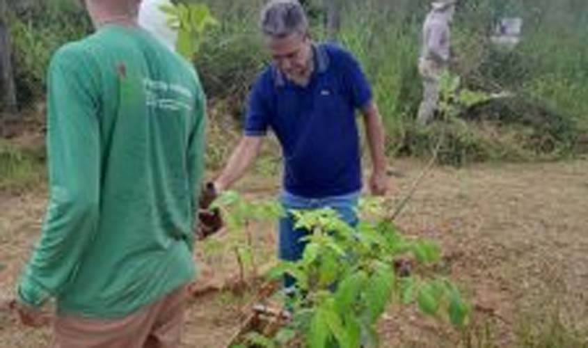 Ação conjunta promove plantio de mudas no antigo lixão