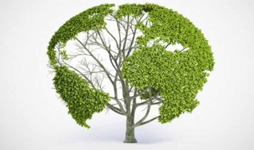 MP recomenda inclusão no Estudo de Impacto Ambiental da UHE de Tabajara de capítulo sobre extrativistas e ribeirinhos