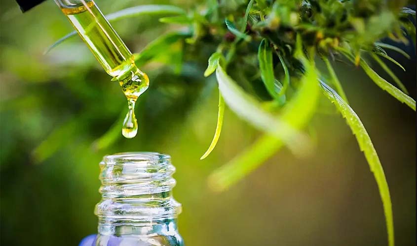 Assembleia aprova projeto que autoriza fornecimento de medicamentos à base de canabidiol