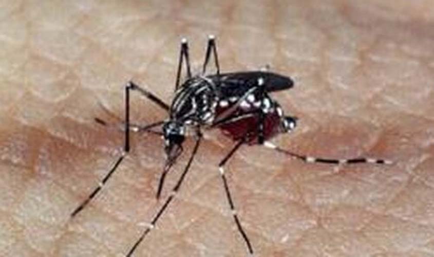 Em 2024, o Brasil já registrou mais de 2,6 milhões de casos prováveis de dengue