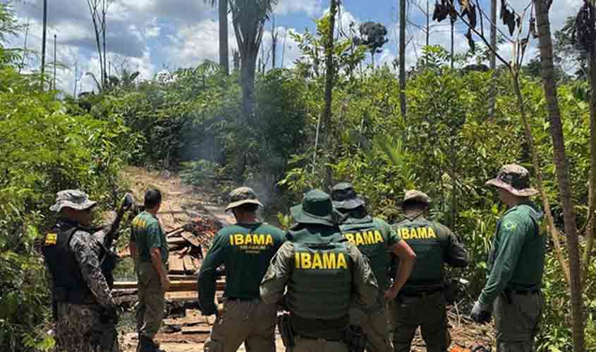 Operação Xapiri em Rondônia combate crime de extração ilegal de madeira