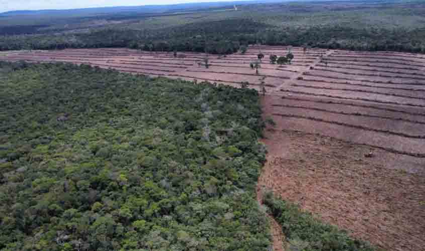 Relatório da 'Operação Hileia' destaca avanços no combate ao desmatamento em Rondônia
