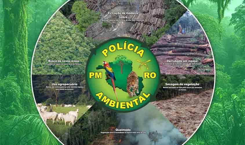 Governo do Estado apresenta resultados da ação policial na área do Parque Estadual de Guajará-Mirim