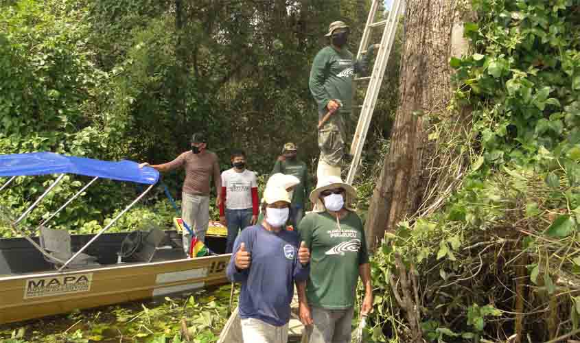 Ação preserva área de manejo sustentável do Pirarucu
