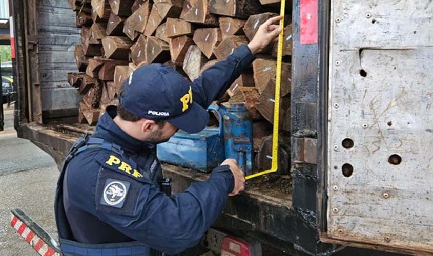 PRF apreende 142 metros cúbicos de madeiras em uma semana