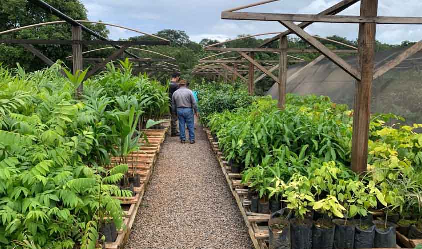 Rondônia fortalece gestão ambiental com Encontro de Viveiristas e Secretários de Meio Ambiente